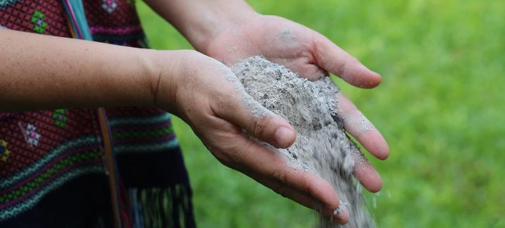 Πήρε την τέφρα της γιαγιάς της, έφτιαξε μπισκότα και κέρασε τους συμμαθητές της